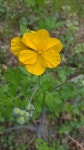 Pin de 기원 김 en Flower en 2021
