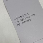 Pin page 사진에 있는 Lucy Lee님의 핀 | 영감을 주는 인용구, 인용문, 첫사랑 인용구