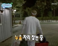 누울 자리 찾는 중