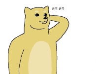 [오소마츠상/싸움마츠,3개월만에 다시 돌아온 응기잇 싸움마츠], 번역본 : 네이버 블로그 - 2020 | 귀여운 고양이 사진, 호피무늬, 귀여운 만화