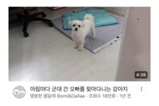 Pin page Pin on 뀨뀨 in 2024