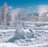 Animals에 관한 285개의 최상의 Pinterest 이미지 | 강아지, 농장 동물 및 아름다운 말 Animals