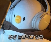 Pin di coco su 베베더오리사진 퍼가세요🤭 nel 2025