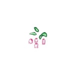 Pin page 海辺都会で絵描き on Instagram: “﻿ 下向きの花って﻿ かわいいなあ﻿ ﻿ ﻿ #海辺暮らし　#田舎暮らし　#都会暮らし... 