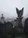 윤은지님의 ㄴ 이미지 | 배경, 묘지, 사진