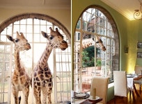 Travelista에 관한 68개의 최상의 Pinterest 이미지 | 여행지, 아름다운 장소 및 Viajes Travelista