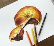 홍대미술학원_큐브미술학원_기초디자인 on Instagram: “단팥빵 돌돌이색연필 완성💛 #단팥빵기초디자인... 