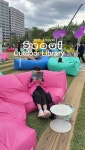 광화문광장 서울 종로구 세종대로 175... 청계광장 서울특별시 중구 태평로1가 1 Apr. 18–Jun. 29 / Sep. 5–Nov. 9... 