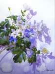Botanical art 7에 있는 Lana Danilova님의 핀 | 꽃그림, 수채화, 소품