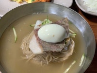 평양냉면 - 제기동역 국수 / 면 요리 | 맛집검색 망고플레이트 - 2021 | 요리, 식품 아이디어, 음식