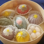 월목반 수업~ 🍉이바지떡 만들기~ 오색영양찰떡, 공주떡, 구름떡   꽃송편 🍎젬마전통음식연구원 🍊한국잔치음식진흥협회 in 2024