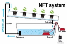 수경재배란 무엇인가? | 수경재배(hydroponics)란? 수경재배란 간단히 말해서 토양 없이 작물을 생산하는 재배방법을 말한다.... 