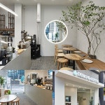 모던한 화이트&그레이 조합의 13평 카페 인테리어 (강남구 대치동)