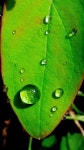 Pin by 부금이 on 천아트 | Water drop drawing, Water art, Oil painting pictures