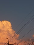 노을에 타는 솜뭉치 Cotton balls burning in the sunset