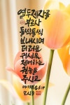 열두제자