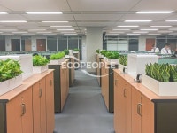ECO PEOPLE 에코피플 : 그린테리어 토탈 케어 솔루션 ECO PEOPLE 에코피플 : 그린테리어 토탈 케어 솔루션 | 디자인, 사무 공간, 조경