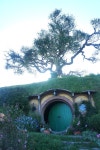 [뉴질랜드 북섬 여행] 반지의 제왕, 호빗을 만든 장소 호비튼(Hobbiton) 호빗 마을 영화 세트장 [뉴질랜드 북섬 여행] 반지의 제왕, 호빗을... 