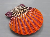 경이로운 자연.에 있는 신 정섭님의 핀 | 자연