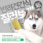 #반려견 #반려동물 #강아지 #템플릿 | 웹디자인, 배너, 템플릿