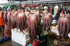 동해안 최대규모를 자랑하는 해산물의 천국! 경북 포항 죽도시장