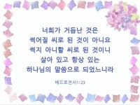 너희가 거듭난 것은… #성경 #성경구절