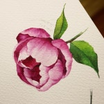 - 내사랑 작약🌺 - #힘드러 #그림말고일ㅠㅠ #헬스타그램분 - #작약 #꽃 #꽃그림 #수채화 #수채화일러스트 #일러스트... 