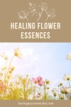 Healing Flower Essences Healing Flower Essences ft Maxine Immelman | Healing flowers, Flower essences, Sweet pea flowers