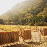 Pin page Pin von JIHOON LIM auf 건축 in 2024 | Garten, Projekte