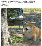 마 주인 니 서마터폰....