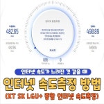 특히 인터넷으로 작업을 하시거나 인터넷 관련된 사업을 하시는 분들은 물론이고 일상생활 속에서 검색을 활용… | 65th 인터넷 속도측정 방법... 
