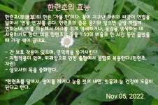원예에 있는 21ship님의 핀 - 2022 | 원예