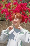 ㈜제이에스피투어앤엔터테인먼트 | [온앤오프(ONF)]와 함께하는 설렘투어 In LA편 ② : 네이버 포스트 - 2020 | 엔터테인먼트