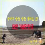 안면도자연휴양림 | 여행