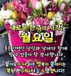 아침 인사 인용구에 있는 웅순님의 핀 | 아침 인사 인용구, 좋은 아침 인사, 아침 인사