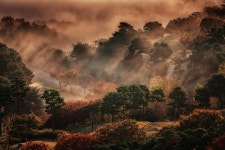 비젼힐스 cc진입로의 안개와 빛 | Landscape, Nature photos