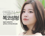 앤플러스 의원