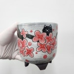 달강수제화분 고양이 1 - 다육화분(Succulent Pot) Pin on 화분자재류 Succulents Pots