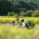 곽태풍 [Gwak Tae Poong]- Sunflower! (remastered)