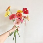 Instagram의 🌿플루브 [실크플라워, 조화부케, 꽃다발]님: “거베라 농장에서 꽃을 한아름도 넘게 선물받았어용🥰💝 덕분에 저도 기쁜... 