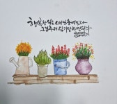 캘리그라피-수연캘리