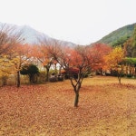[서산 제로플레이스, 수화림 가을 독서여행 패키지 증정이벤트] 올 가을... 서산 제로플레이스, 수화림에서 책 한권 독파 하실 수 있는 분을... 
