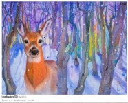 Lynn Bywaters CPSA | 색연필