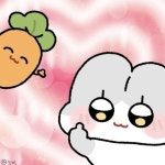노비