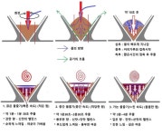 Cà phê에 있는 pham van님의 핀 - 2020 | 커피 시음, 커피 로스팅, 커피 레시피