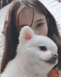 𝒾𝓁𝒶𝓎 ☽ on Instagram: “냥이랑 멍멍이 만나면..”