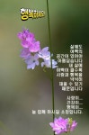 삶에도 여백의 공간이 있어야 아름답습니다.