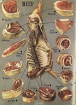 Meat에 관한 20개의 최상의 Pinterest 이미지 | 요리 팁, 그릴 및 소고기 Meat