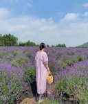 제주카페 라벤더천국
