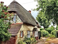 Create For-Life Cotton Linen Decorative Pillowcase Throw Pillow Cushion Cover Square 18 Bird Pretty Pink Blossoms Color: AL-F0029-s... 